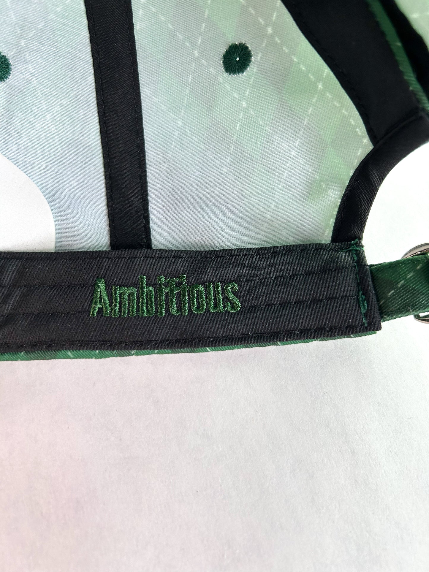 Magical Baseball Caps 2.0 + Bows