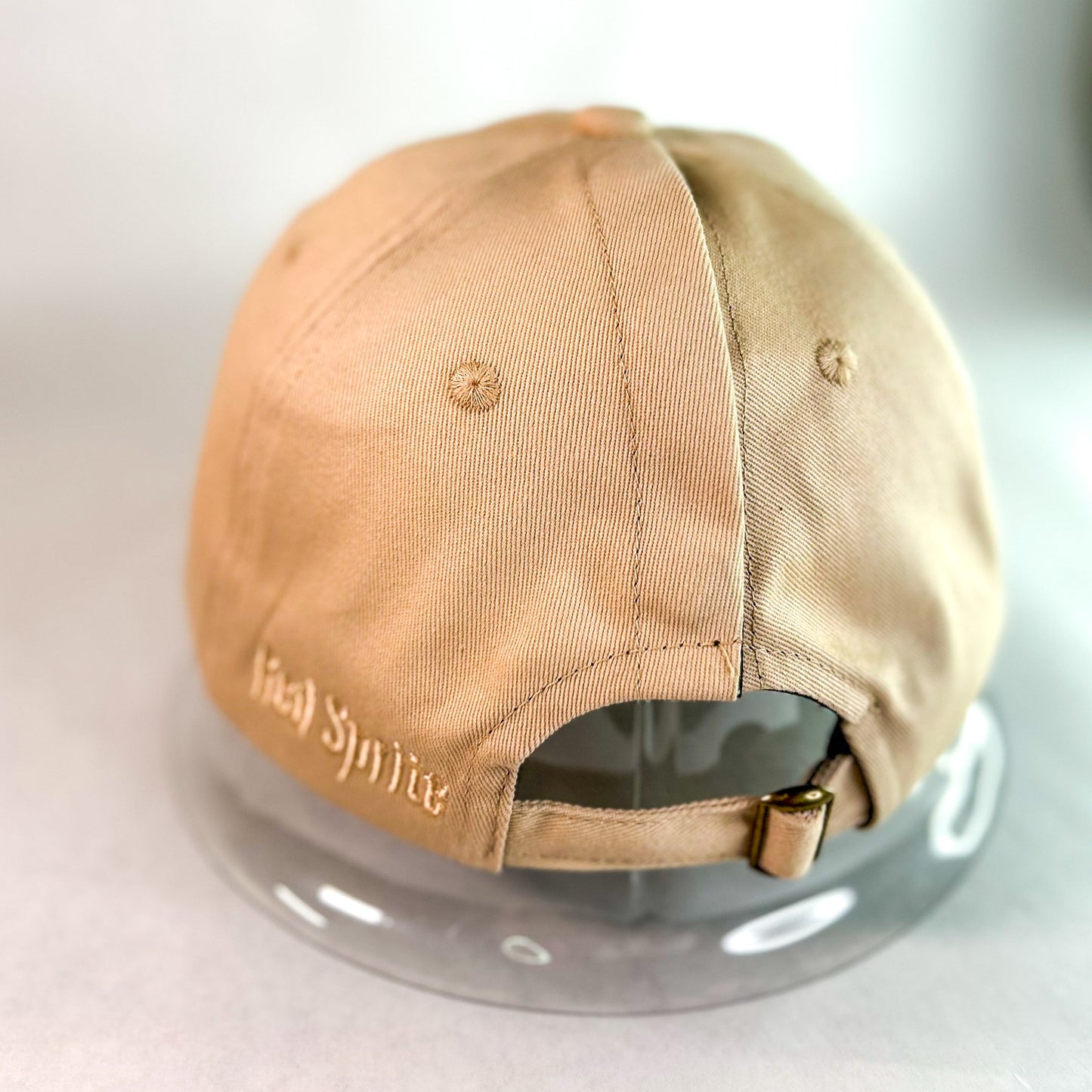 Hidden Messy Bun Baseball Cap 2.0