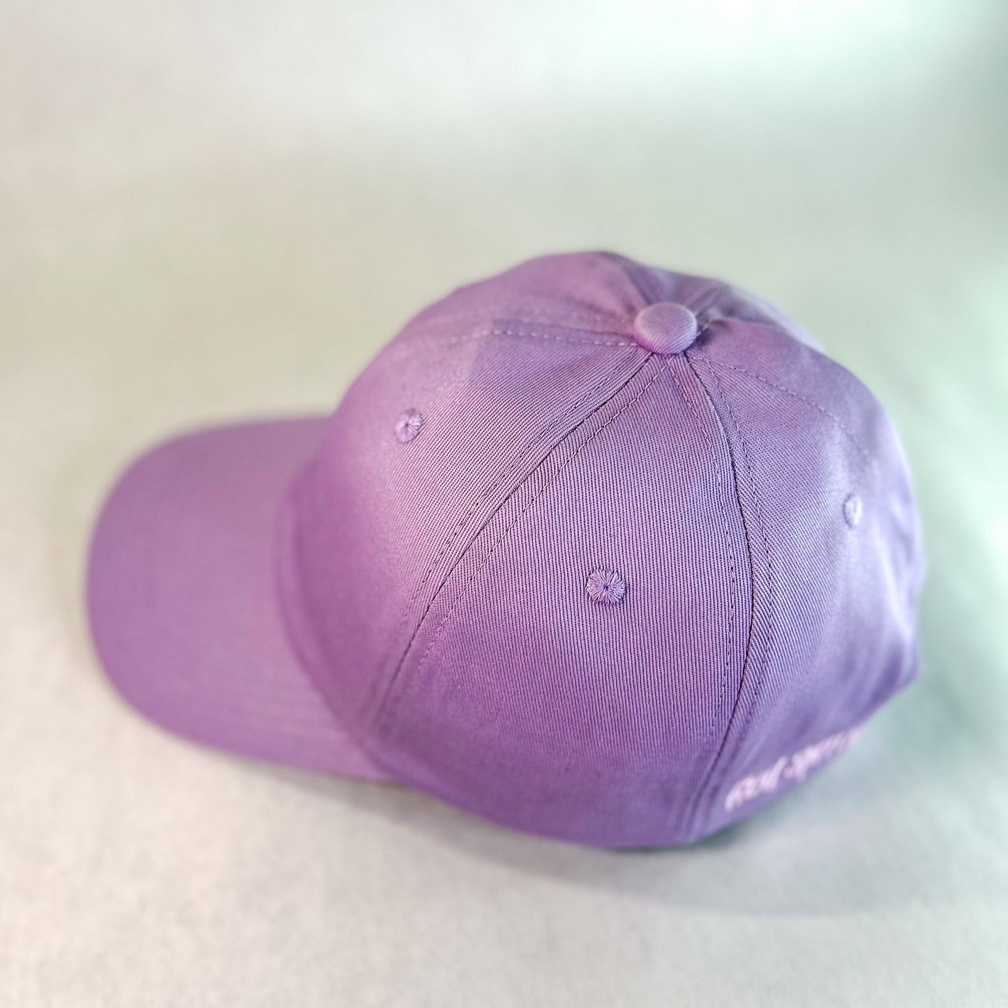 Hidden Messy Bun Baseball Cap 2.0