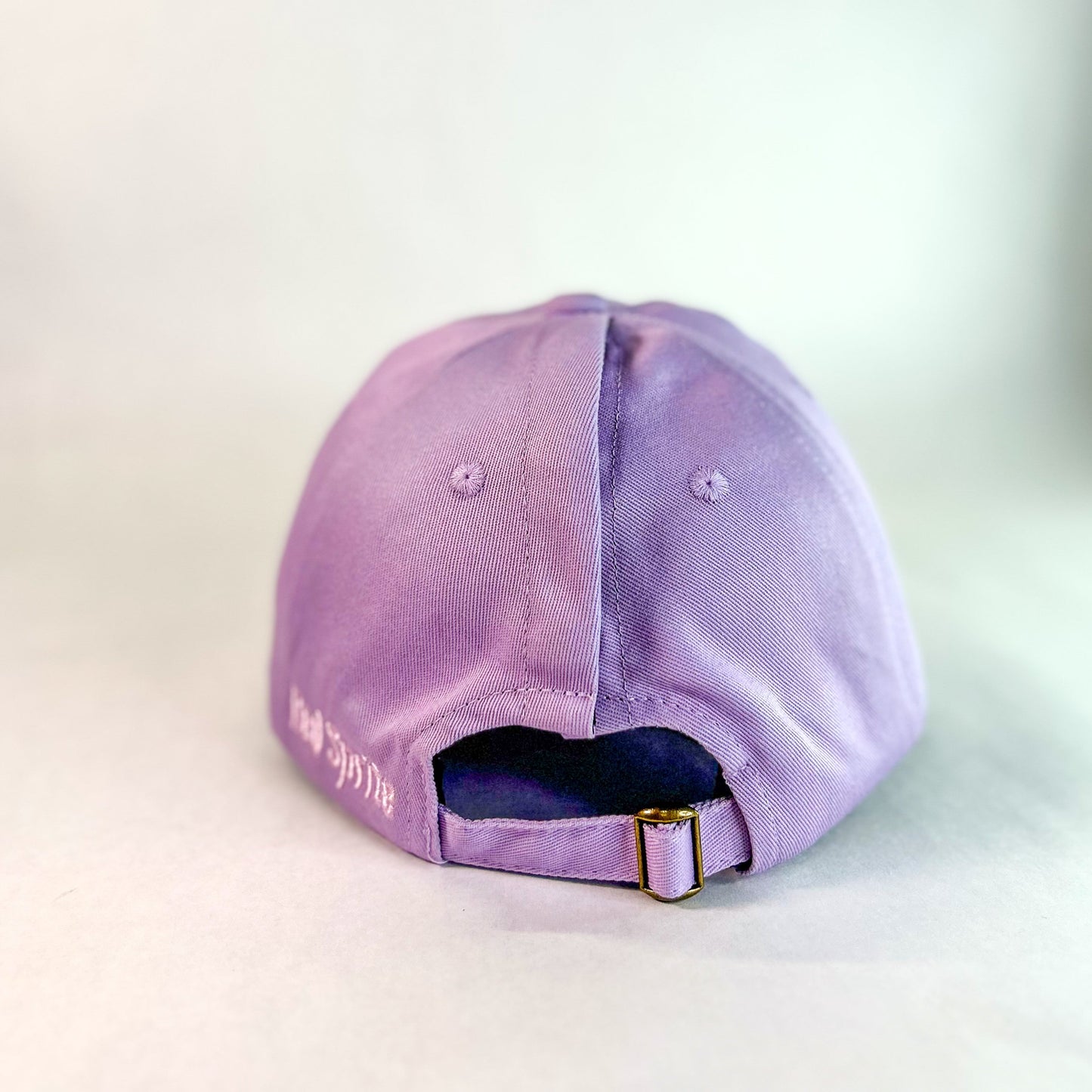 Hidden Messy Bun Baseball Cap 2.0