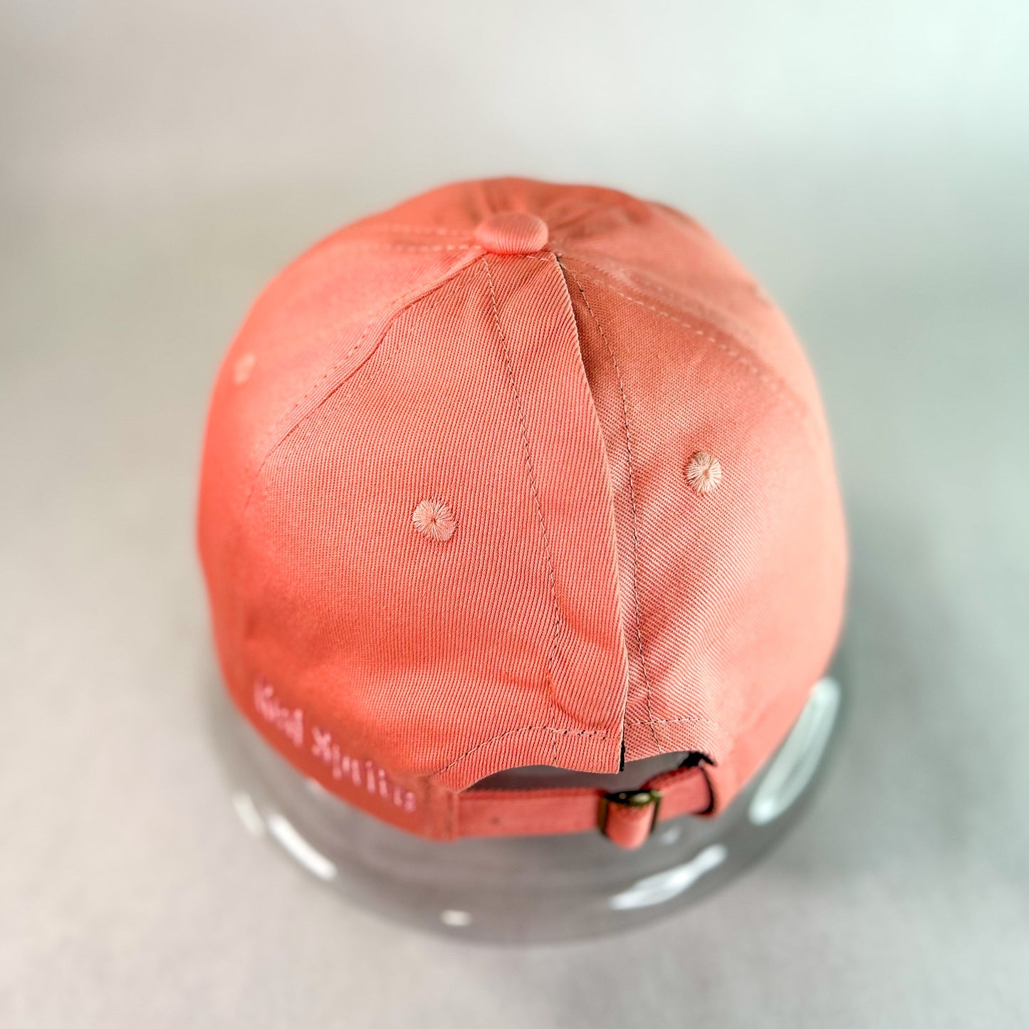 Hidden Messy Bun Baseball Cap 2.0